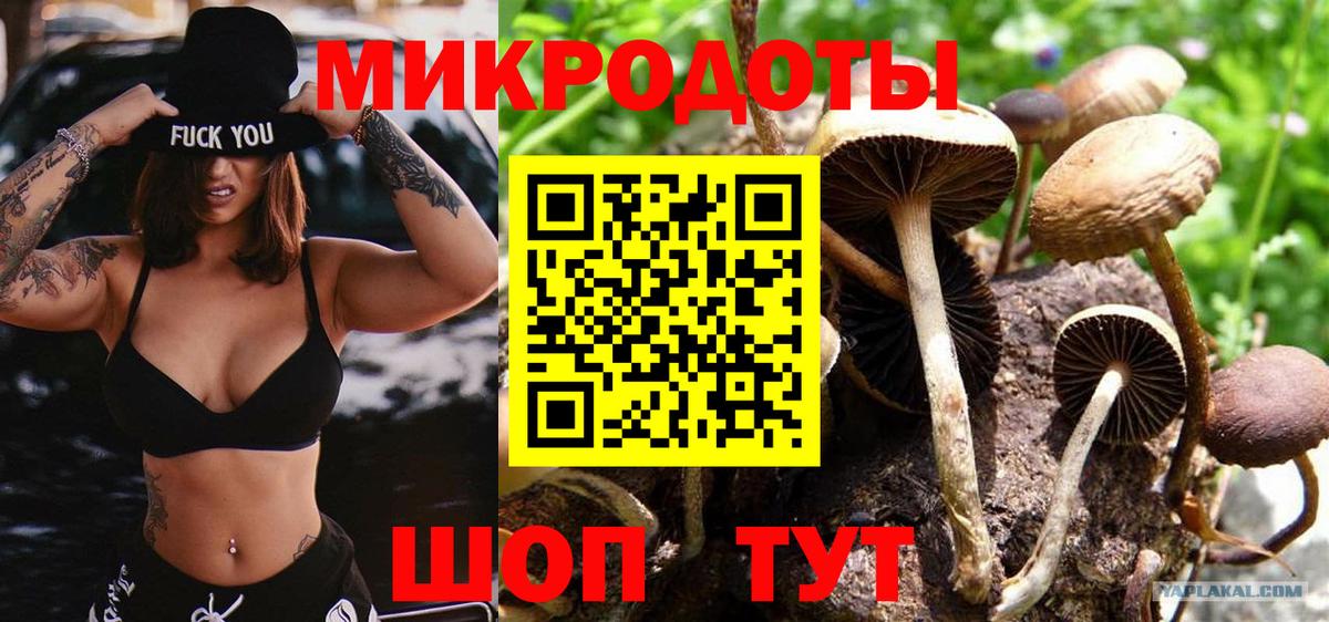 Галлюциногенные грибы GOLDEN TEACHER Кушва