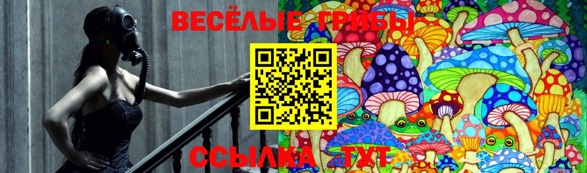 Псилоцибиновые грибы MAGIC MUSHROOMS  Вход с VPN  Галлюциногенные грибы Psilocybine cubensis  Кушва 